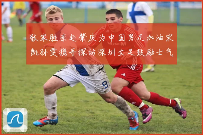 张家胜亲赴肇庆为中国男足加油宋凯孙雯携手探访深圳女足鼓励士气